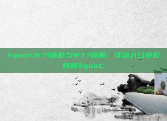 "W71喷枪与W77喷嘴：详细入口视频教程"